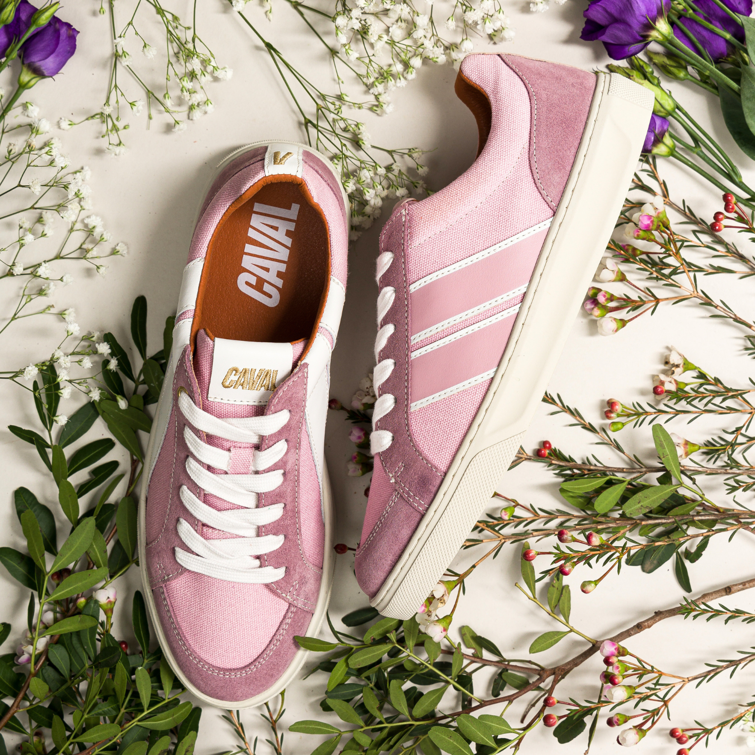 Power Grapes - Archives