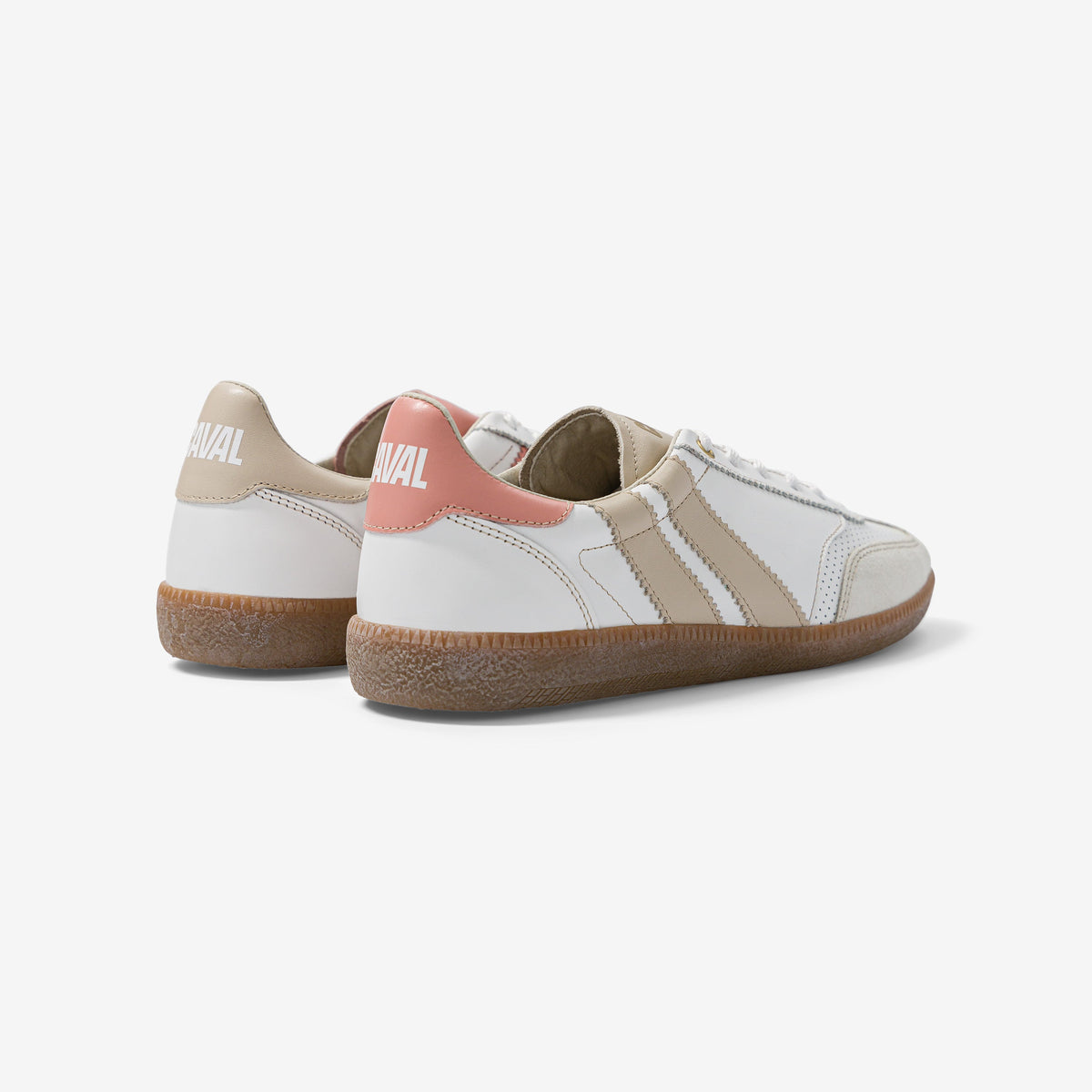 Coral Dream - Archives