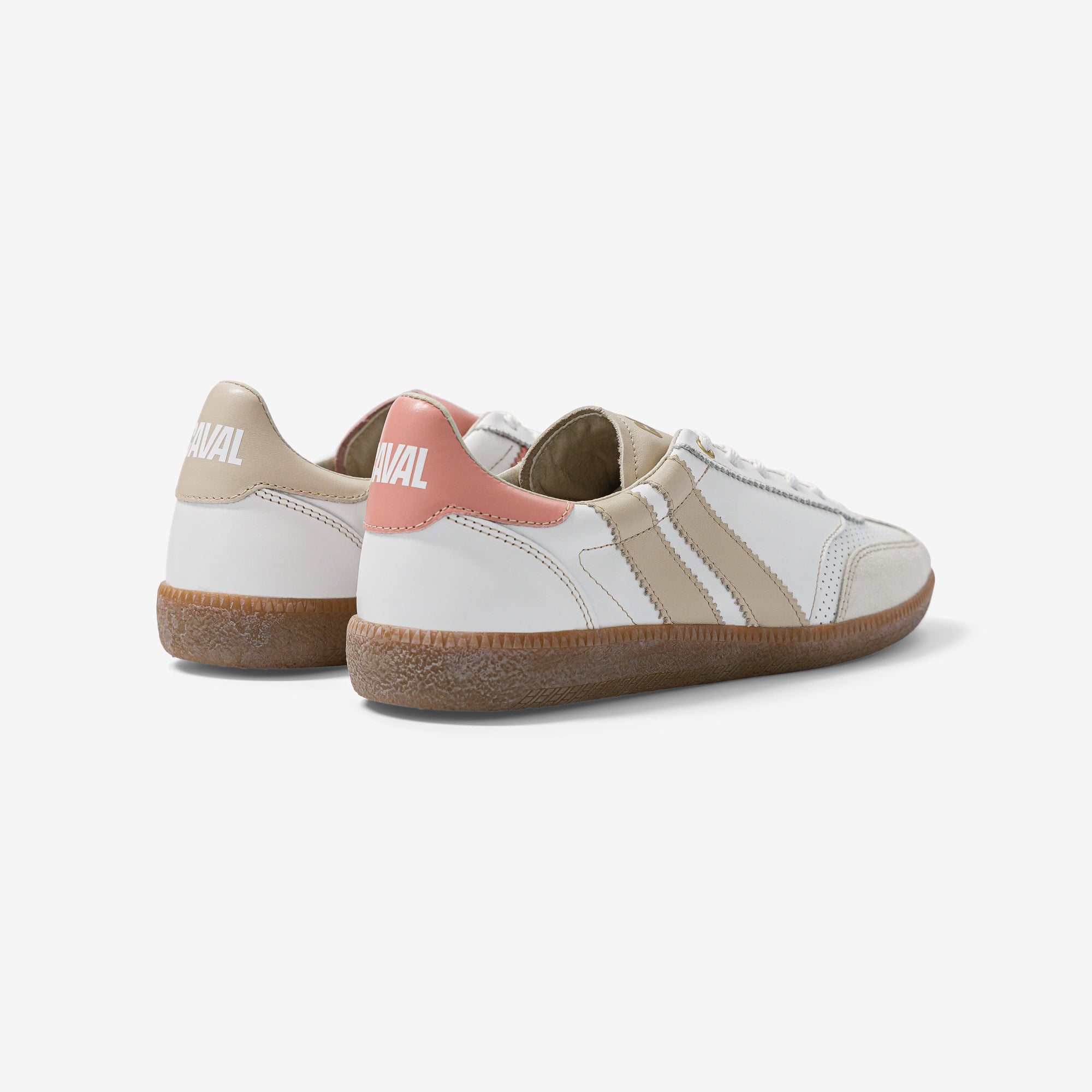 Coral Dream - Archives