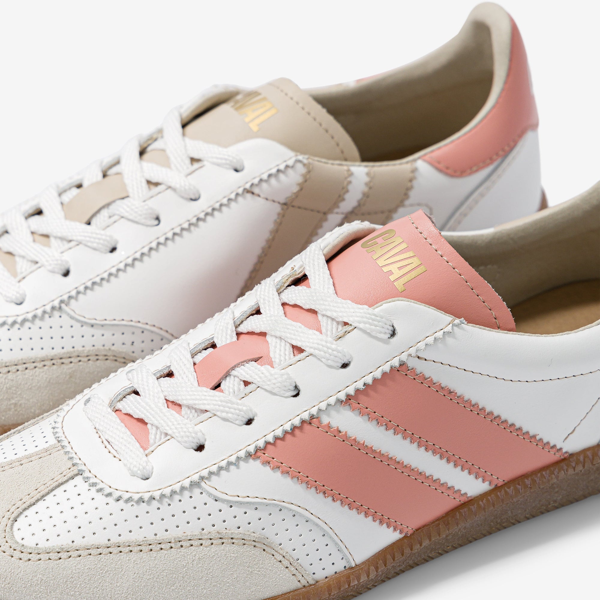 Coral Dream - Archives