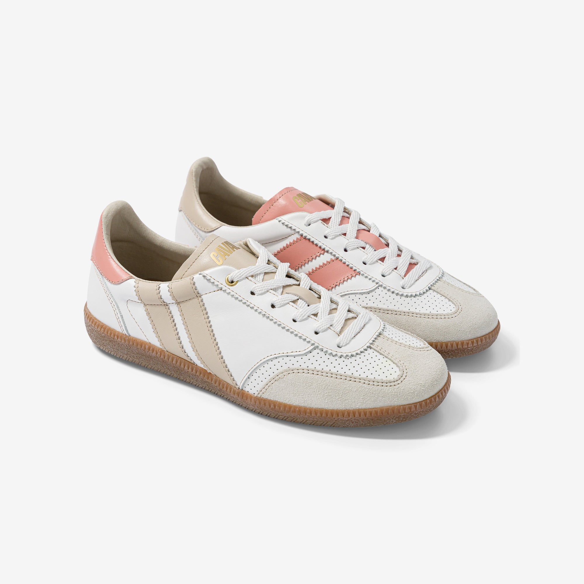 Coral Dream - Archives