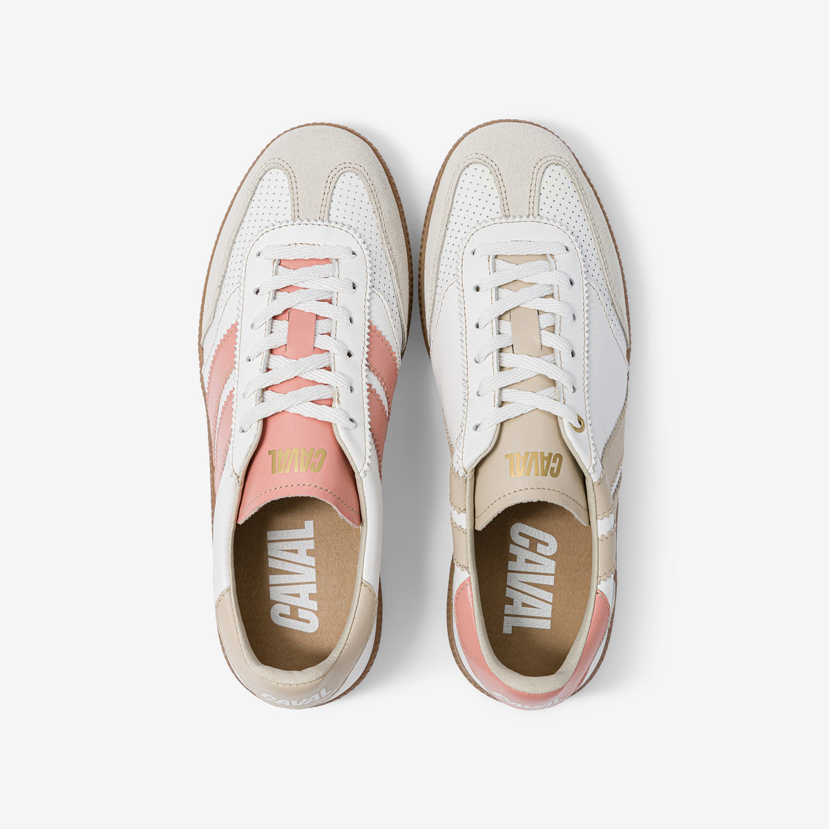 Coral Dream - Archives