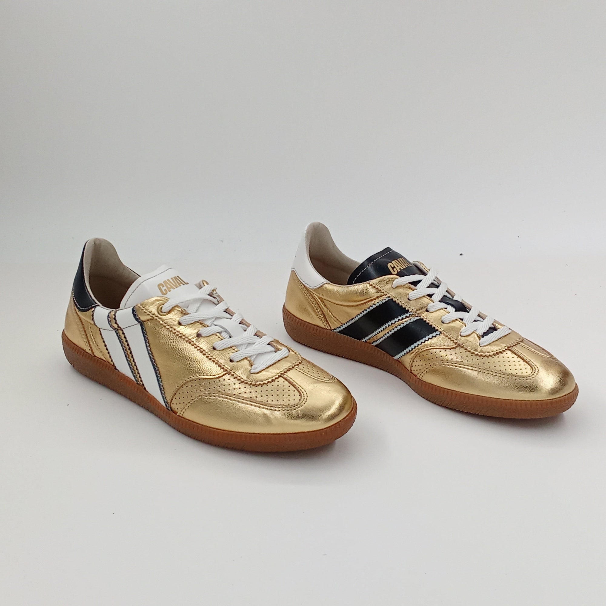 Proto - Solar Titanium - 38