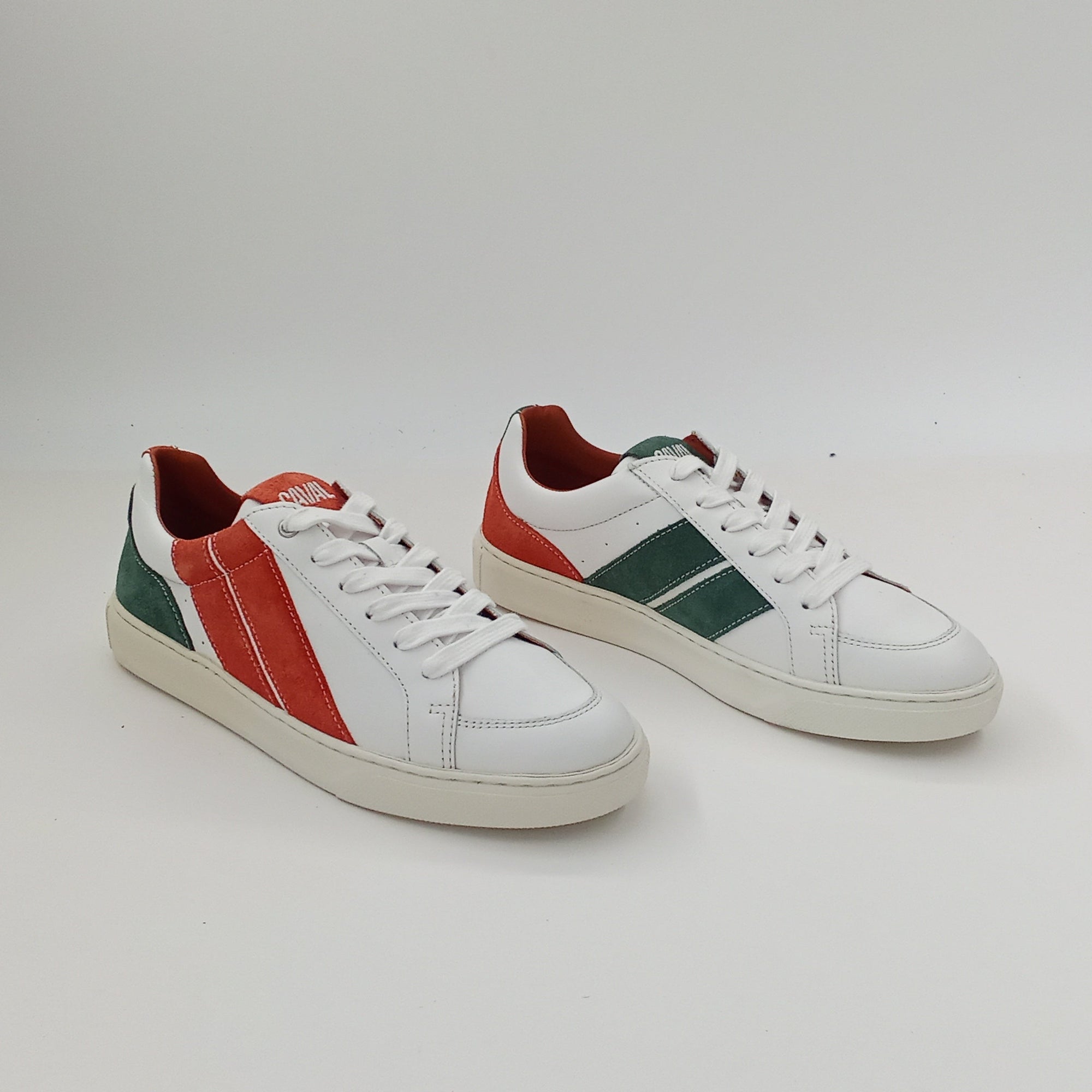 Proto - Terra Field - 38