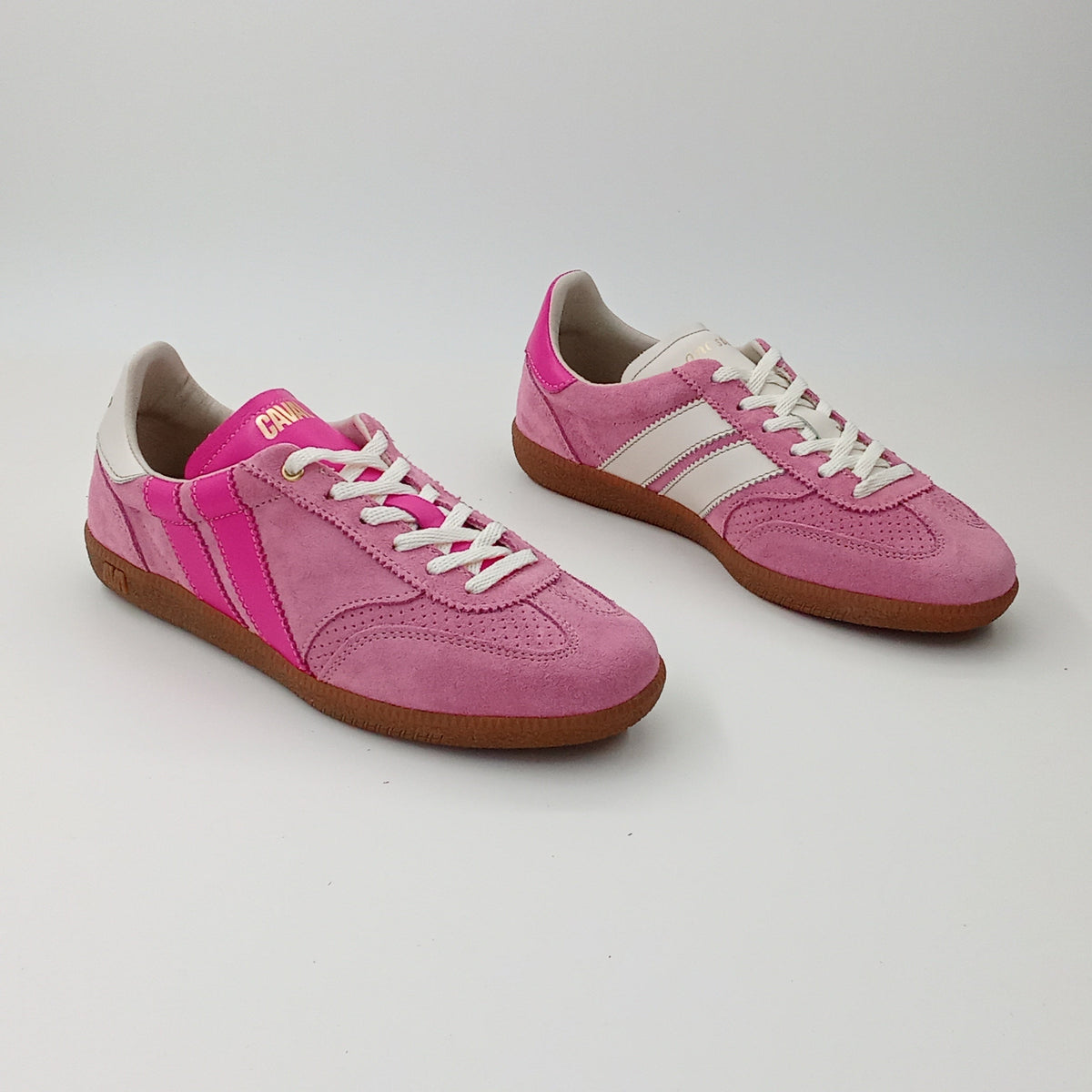 Proto - Candy Shades - 37