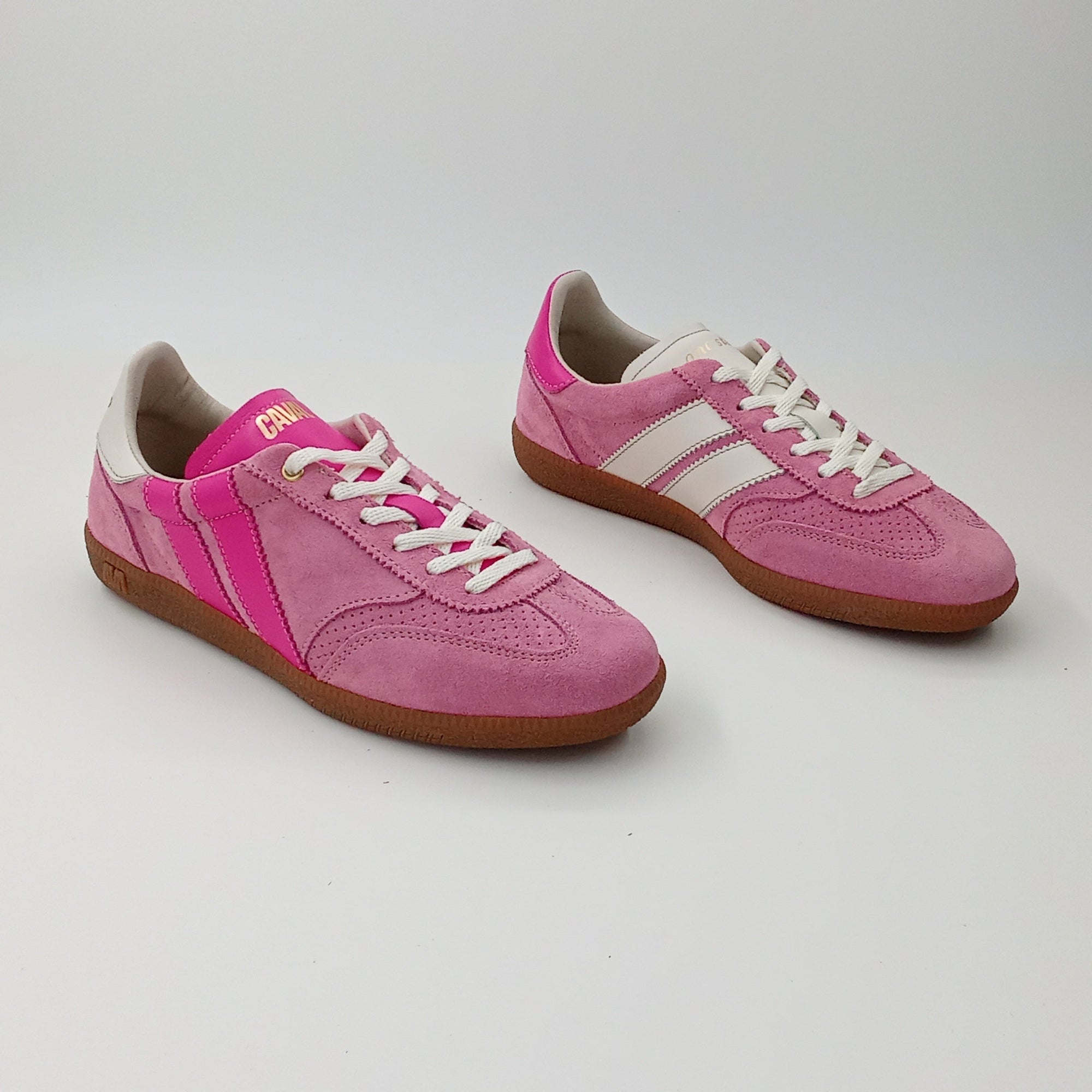 Proto - Candy Shades - 37