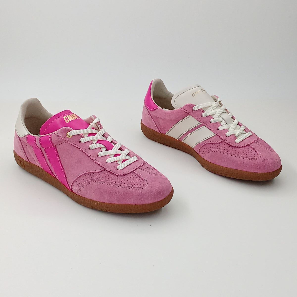 Proto - Cotton Petal - 37