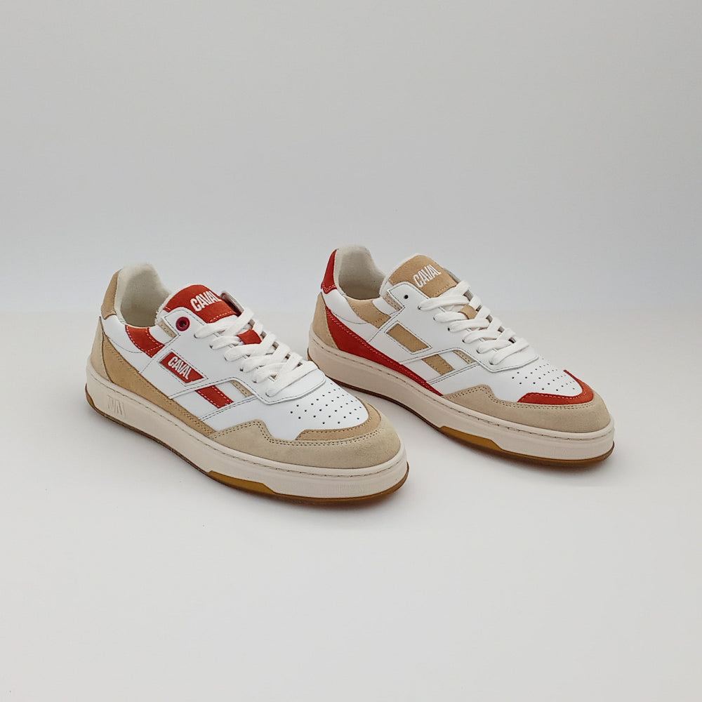 Proto - Sahara Spice - 38