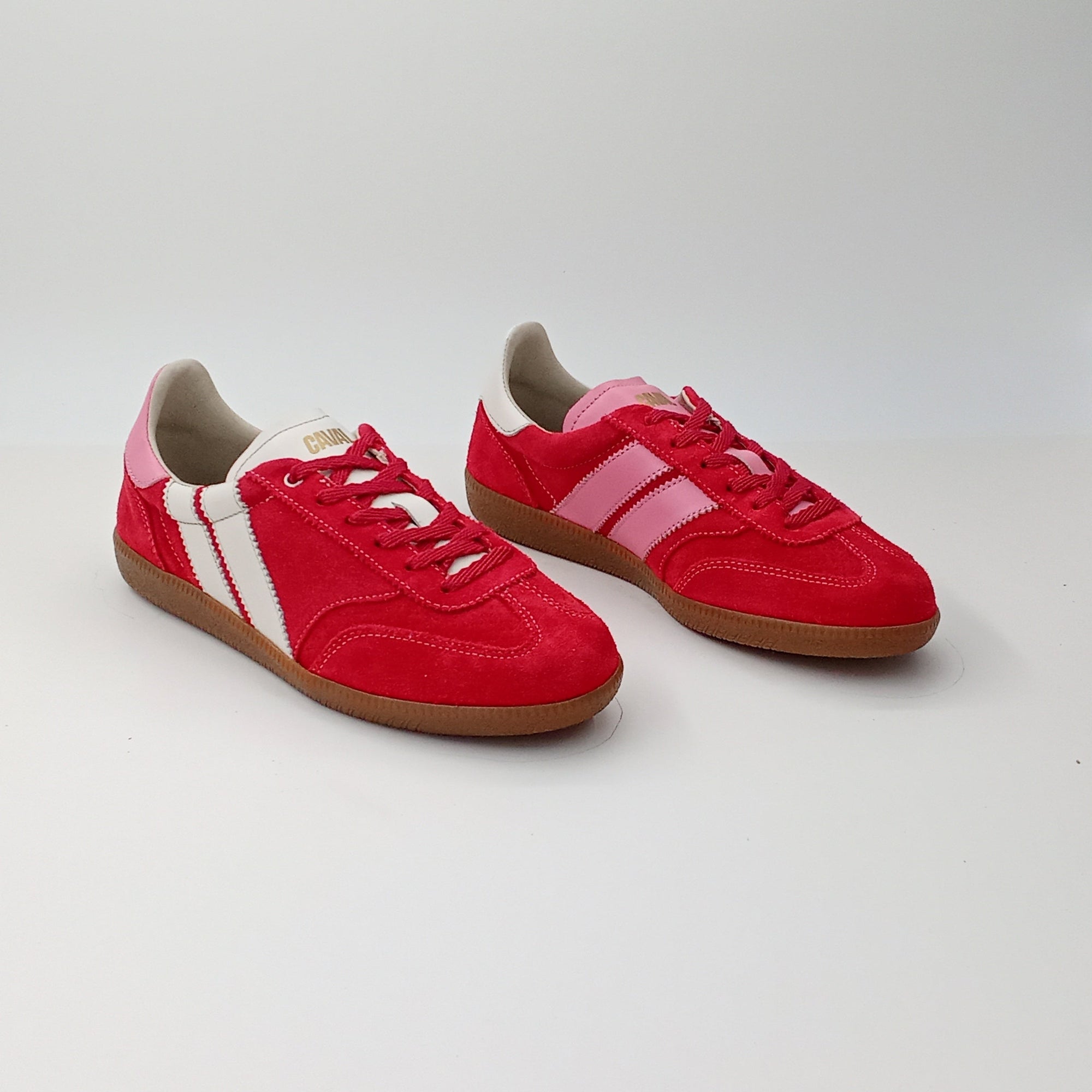 Proto - Cherry Berry - 38