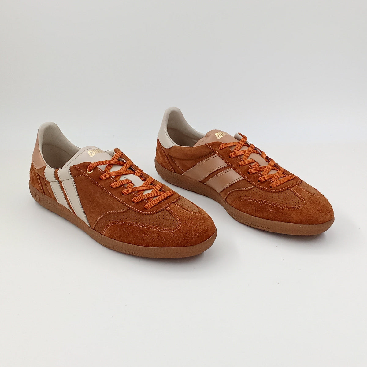 Proto - Camel Vibes - 42