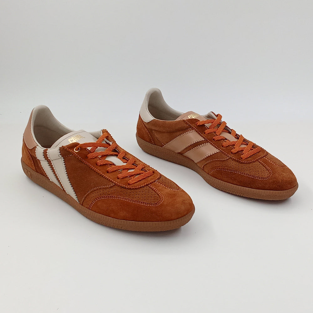 Proto - Chestnut Drift - 42