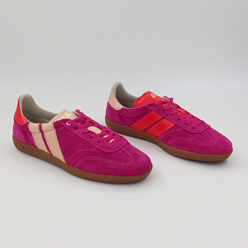 Proto - Fuschia Dream - 38