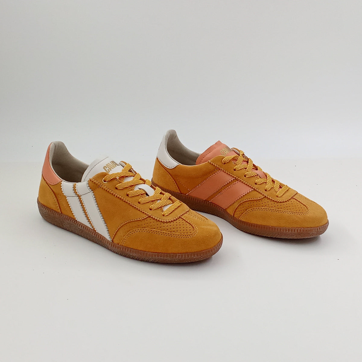 Proto - Spice Delight - 38