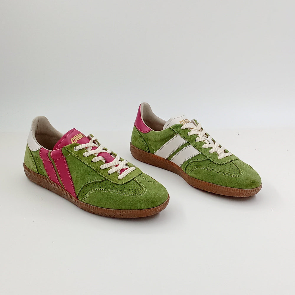 Proto - Matcha Berry - 38