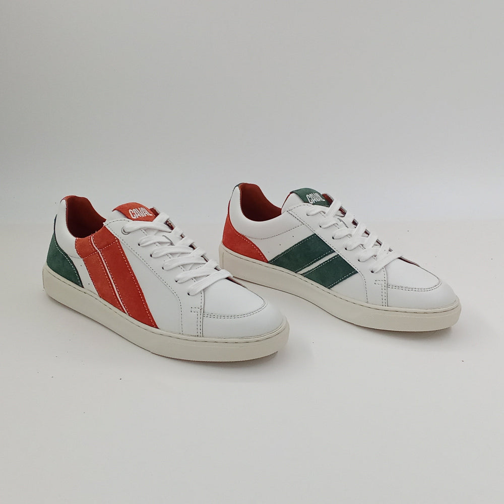 Proto - Terra Field - 38