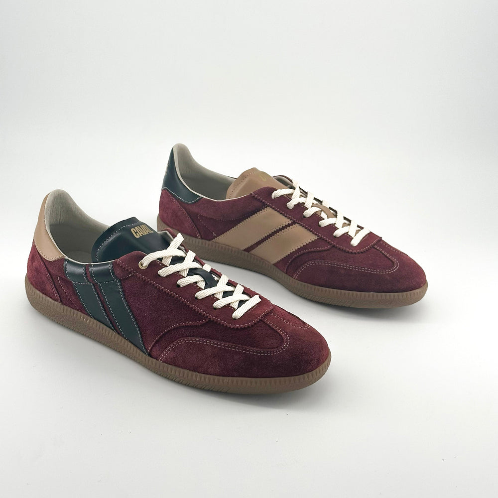 Proto - Pulse - Majestic Burgundy - 43