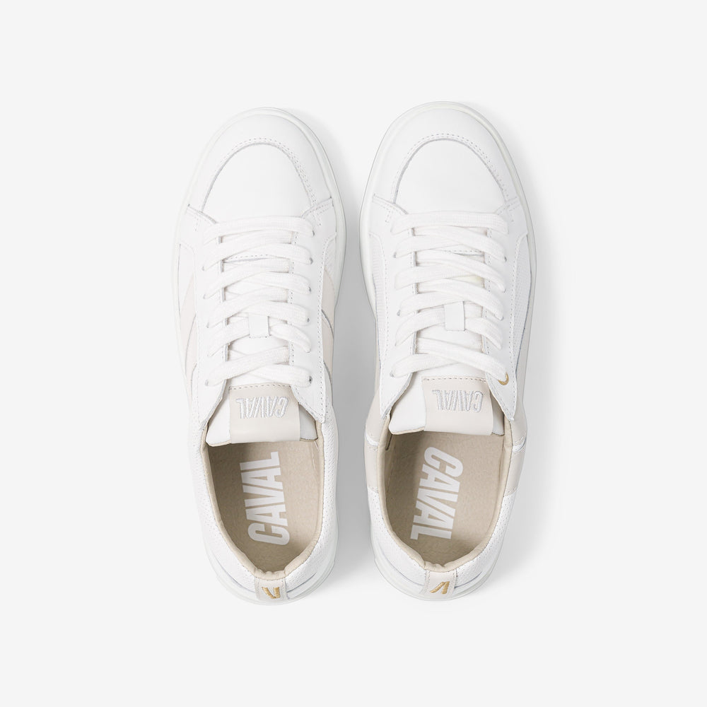 Light Glory - Archives