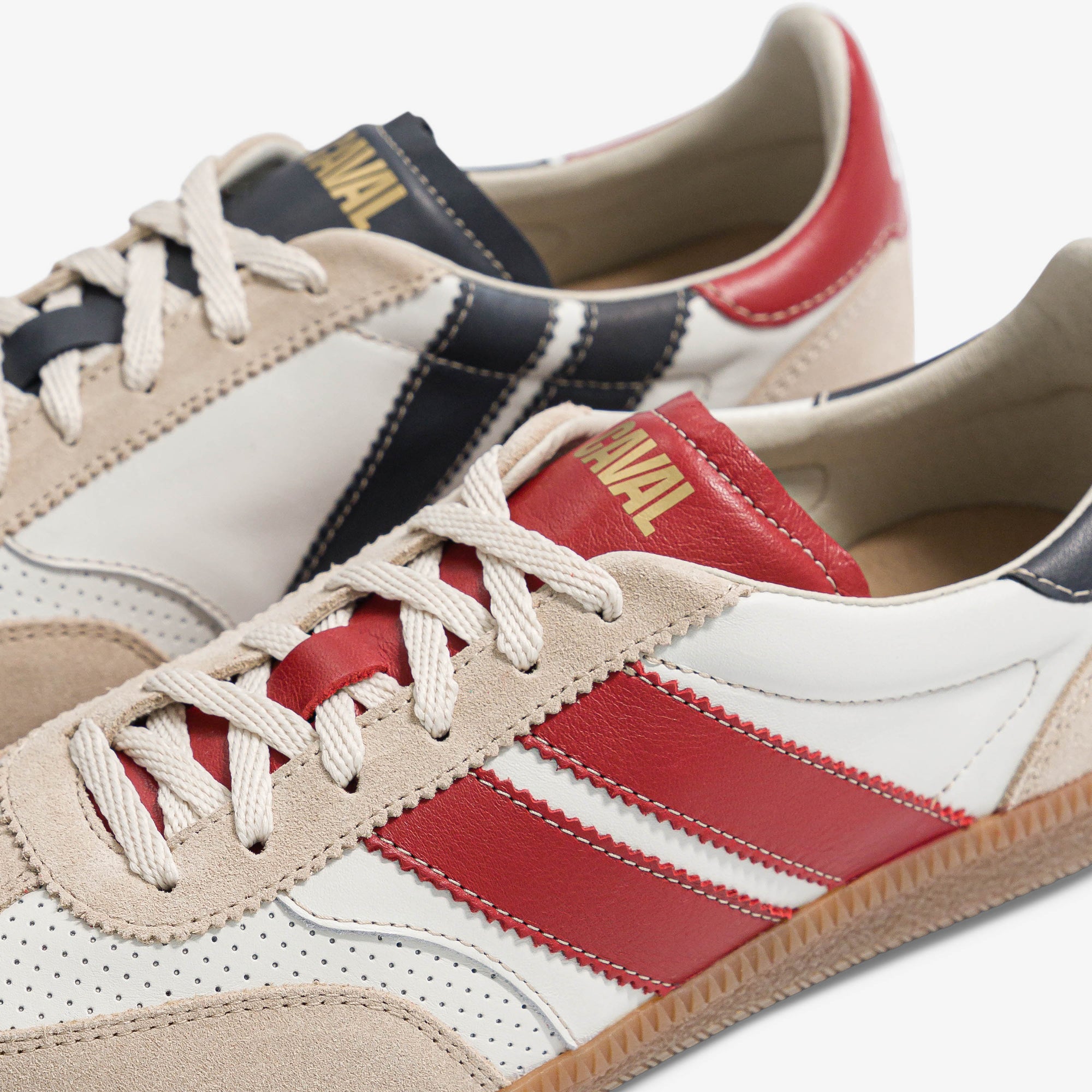 Black Scarlet - Archives