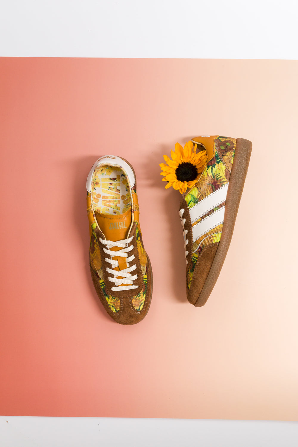 CAVAL x Les Tournesols