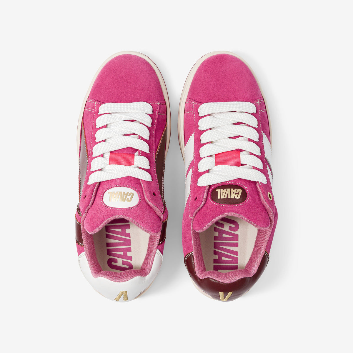 Pink Power - Archives