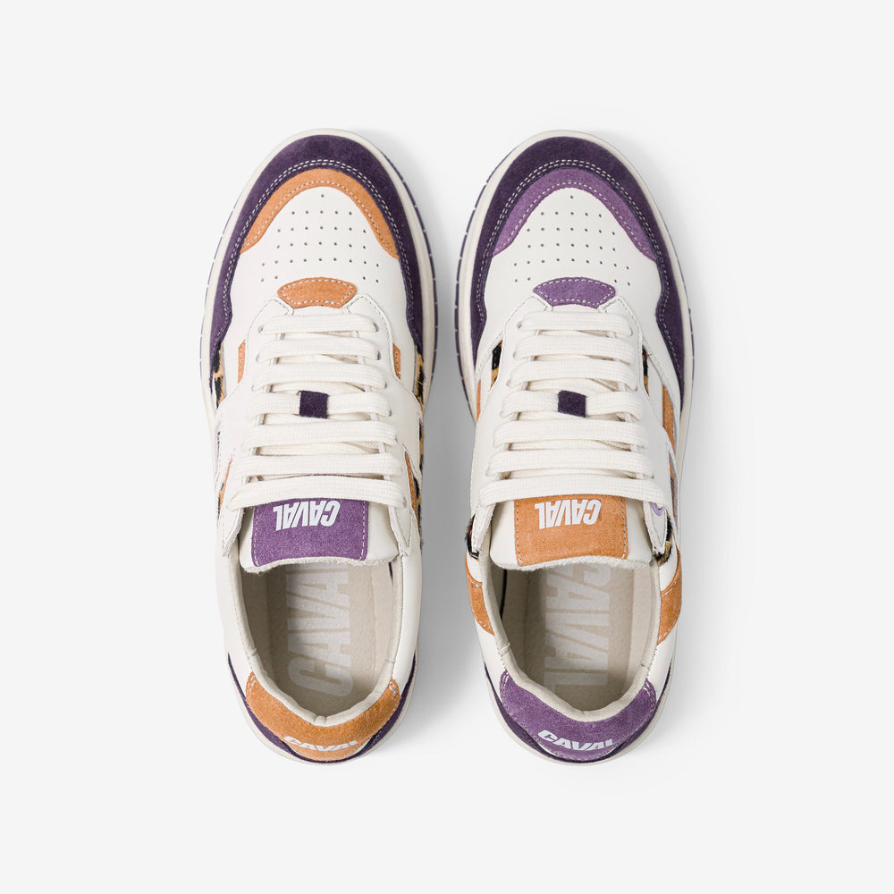 Purple Leo - VP