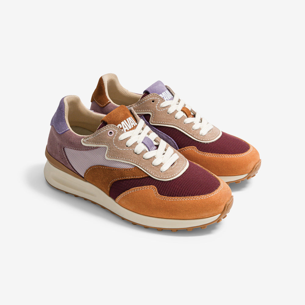 Purple Pumpkin - VP