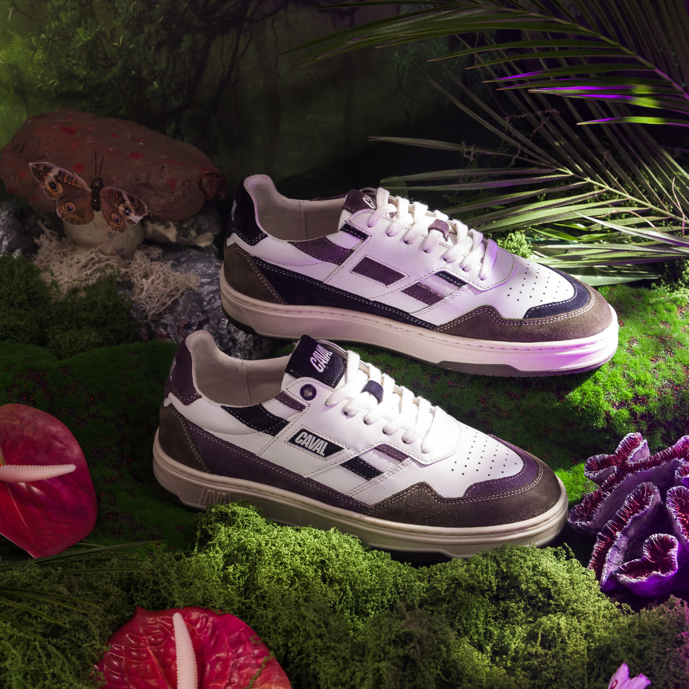 Purple Storm - Archives