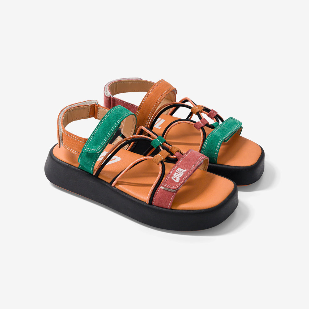 Tropical Flamingo - VP