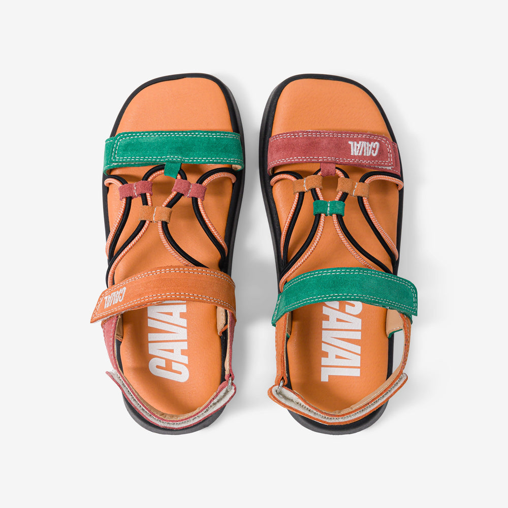 Tropical Flamingo - VP