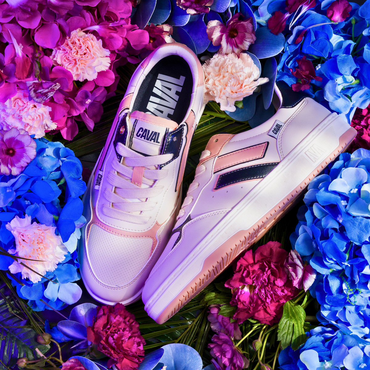 Midnight Bloom