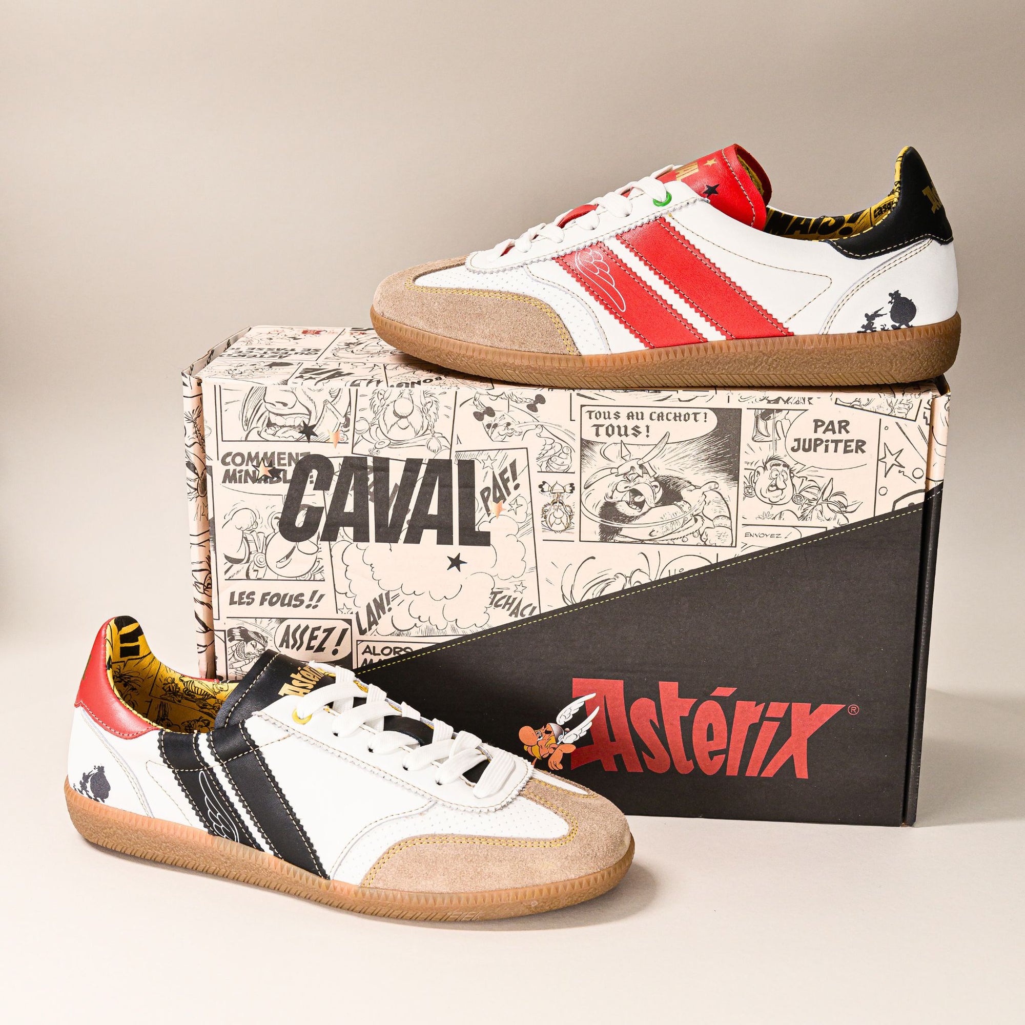 CAVAL x Astérix