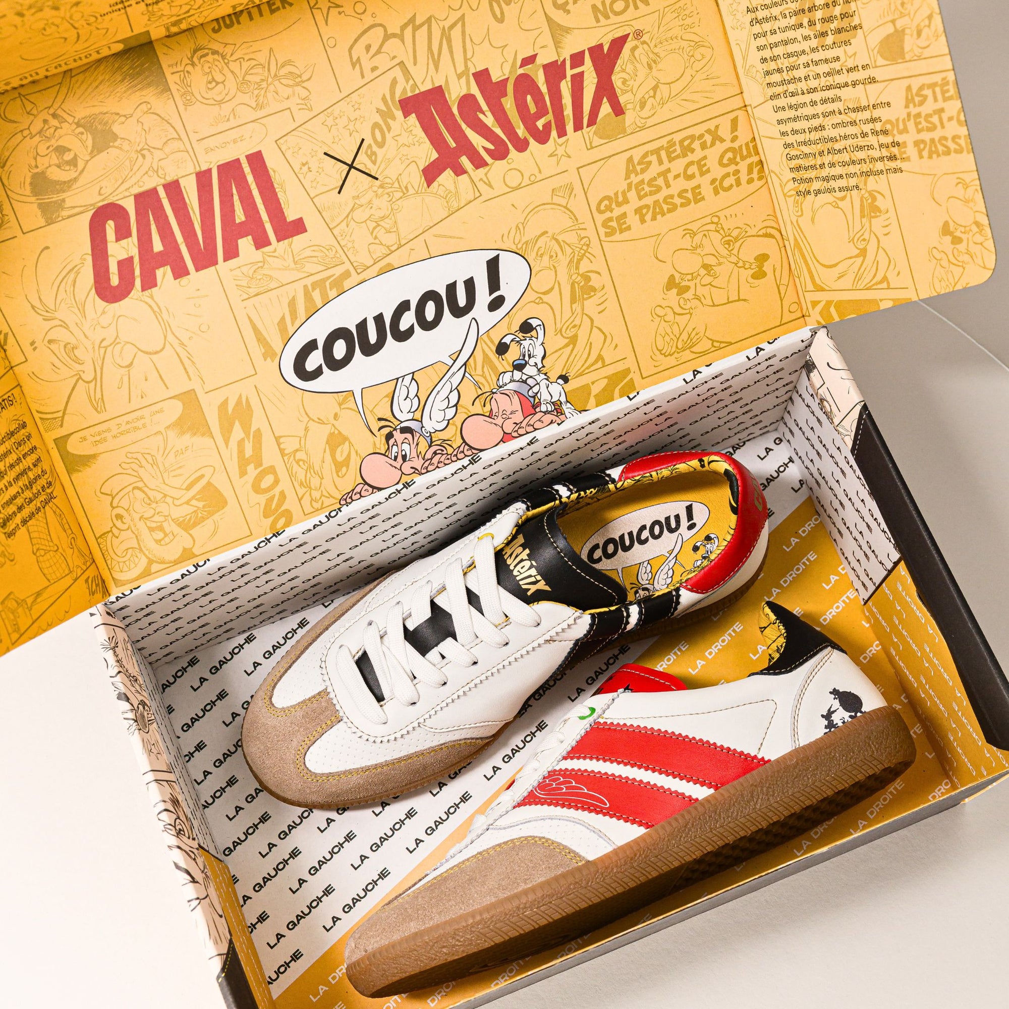 CAVAL x Astérix