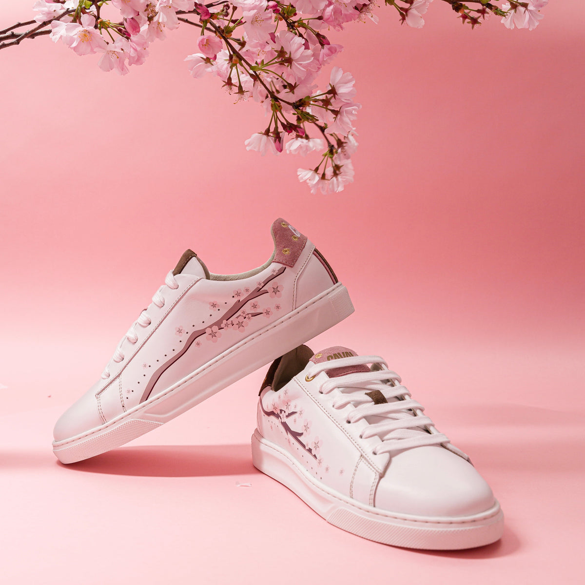 Pink Sakura - VP