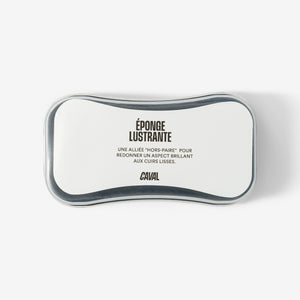 Éponge lustrante