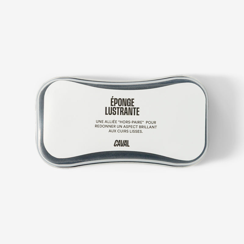 Éponge lustrante