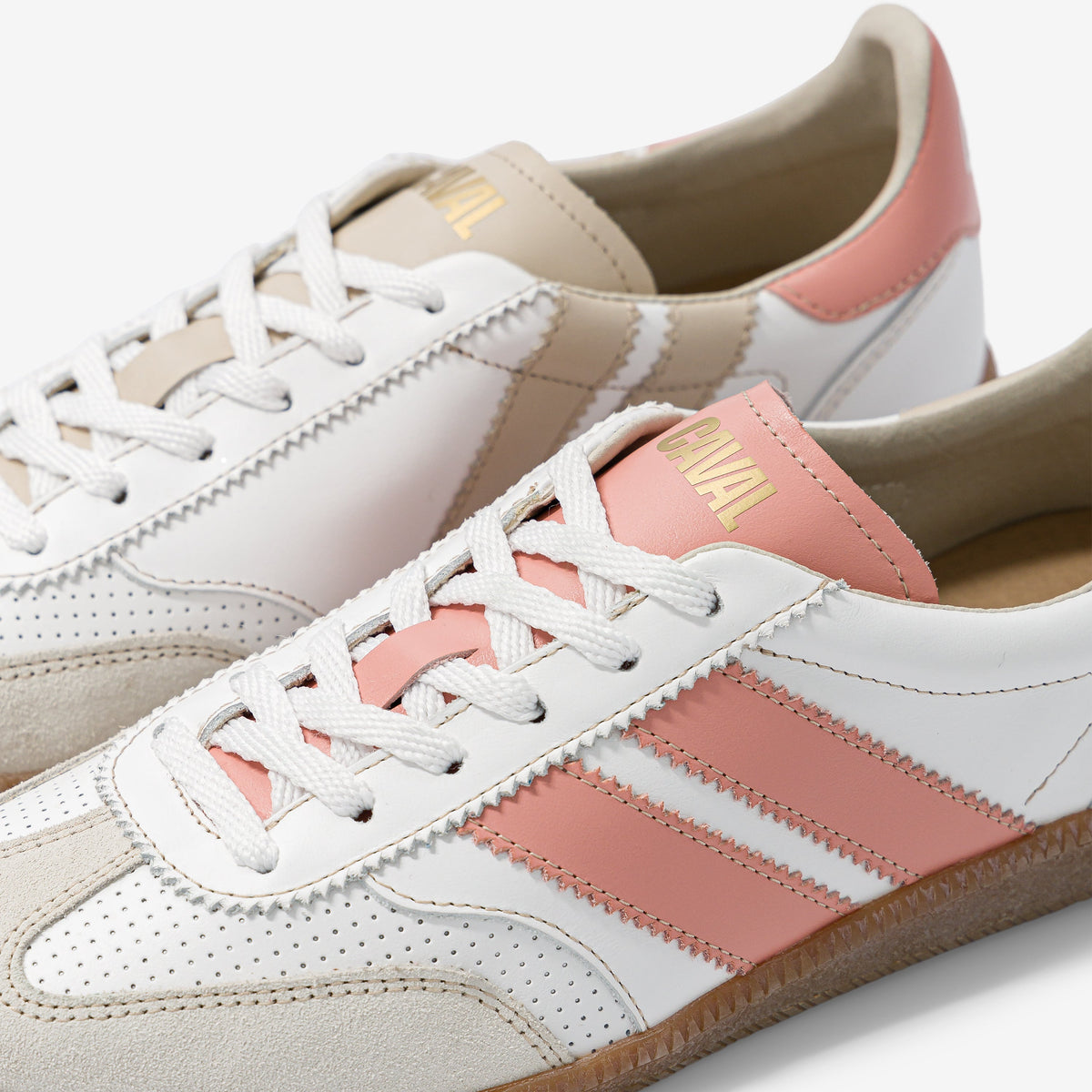 Coral Dream - Archives