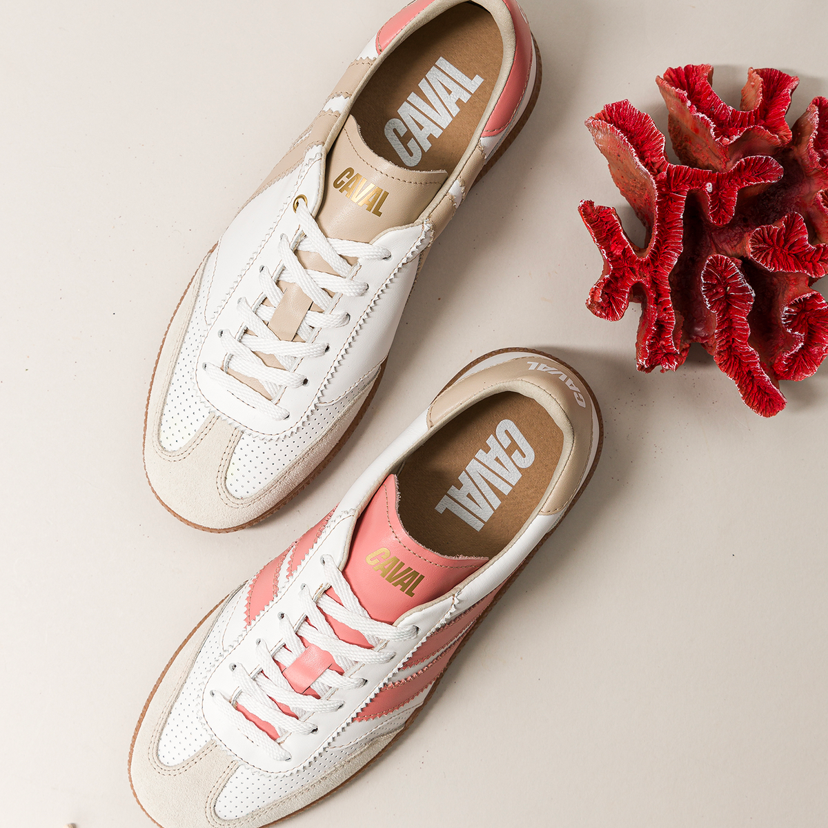 Coral Dream - Archives