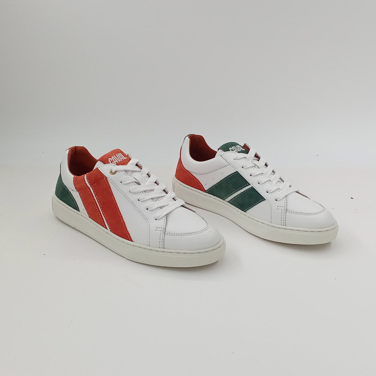 Proto - Terra Field - 38