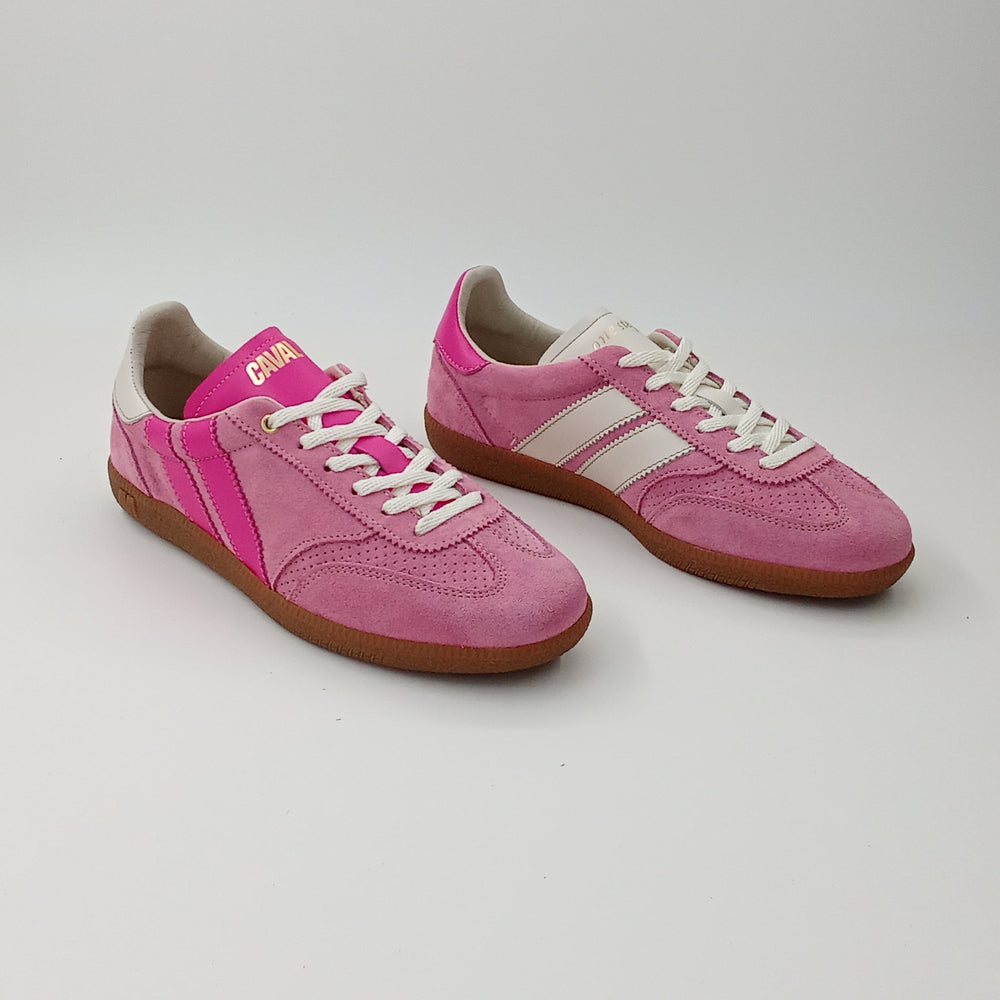 Proto - Pinky Shades - 37