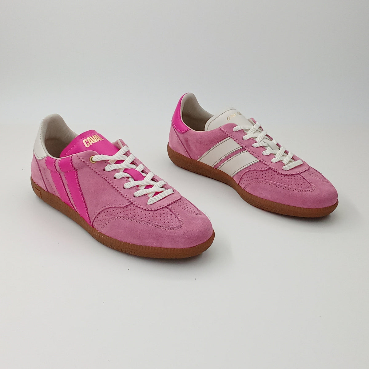 Proto - Fuchsia Bloom - 37