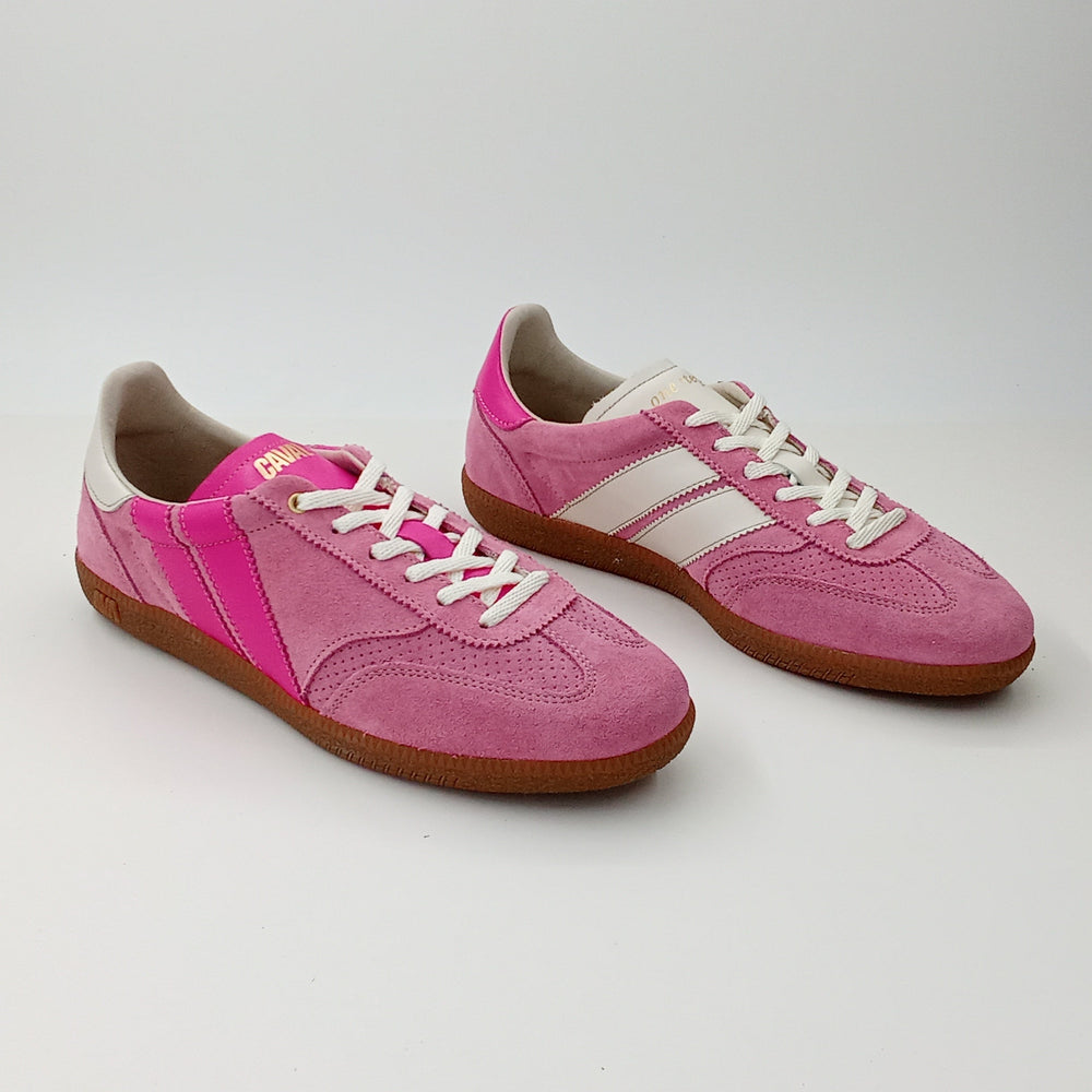 Proto - Rose Whip - 40