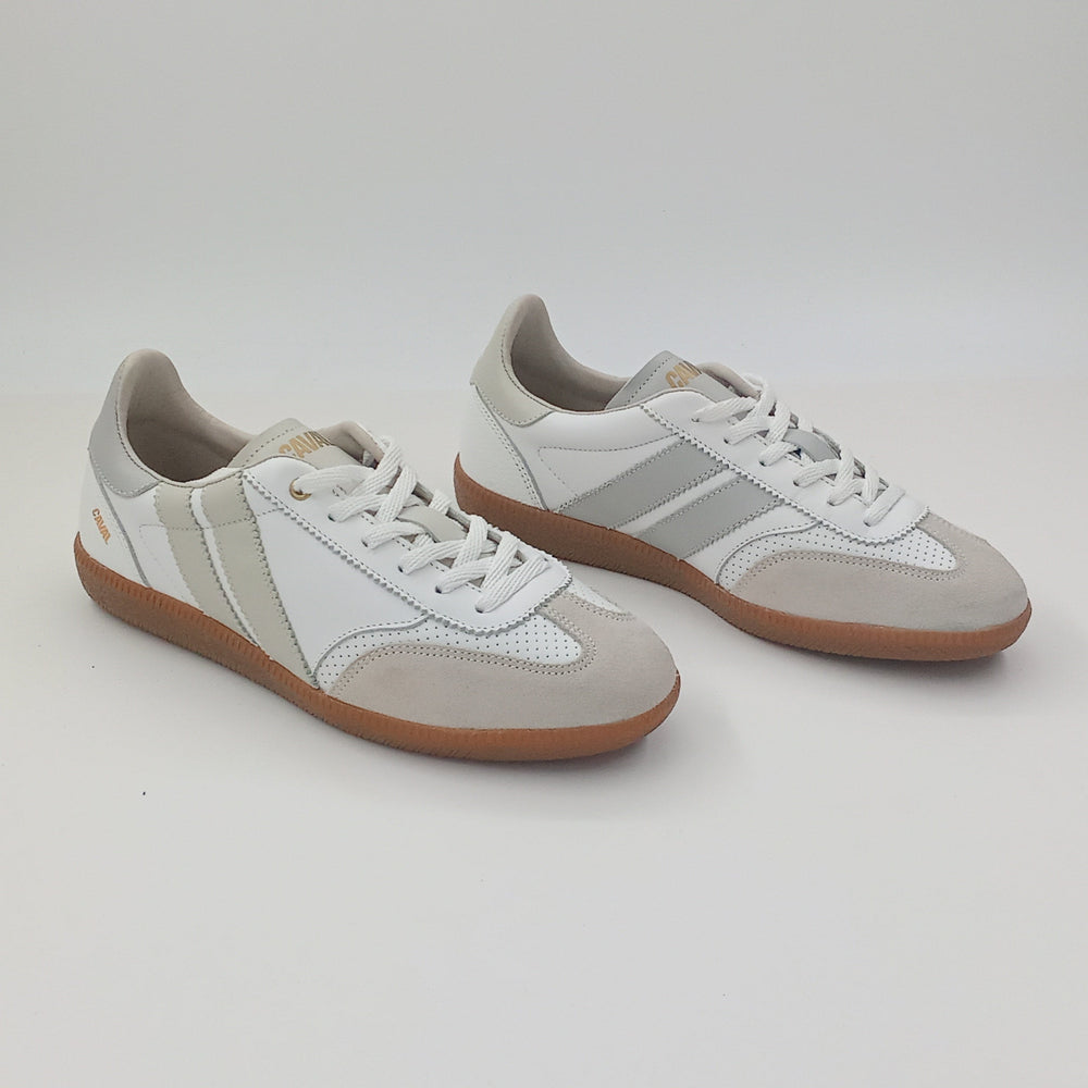 Proto - Ivory Vibes - 38