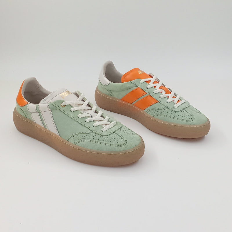 Proto - Zest Olive - 38