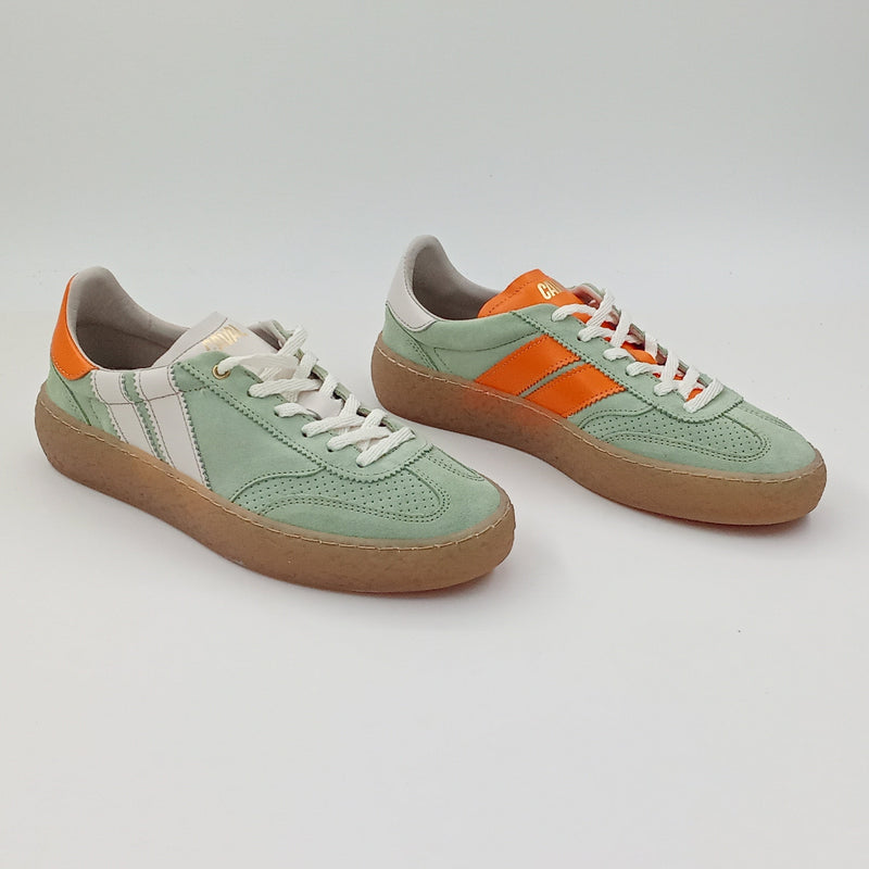 Proto - Greeny Zest - 38