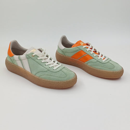 Proto - Greeny Zest - 38