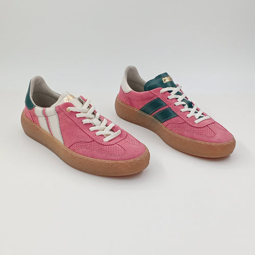 Proto - Rose Petal - 38