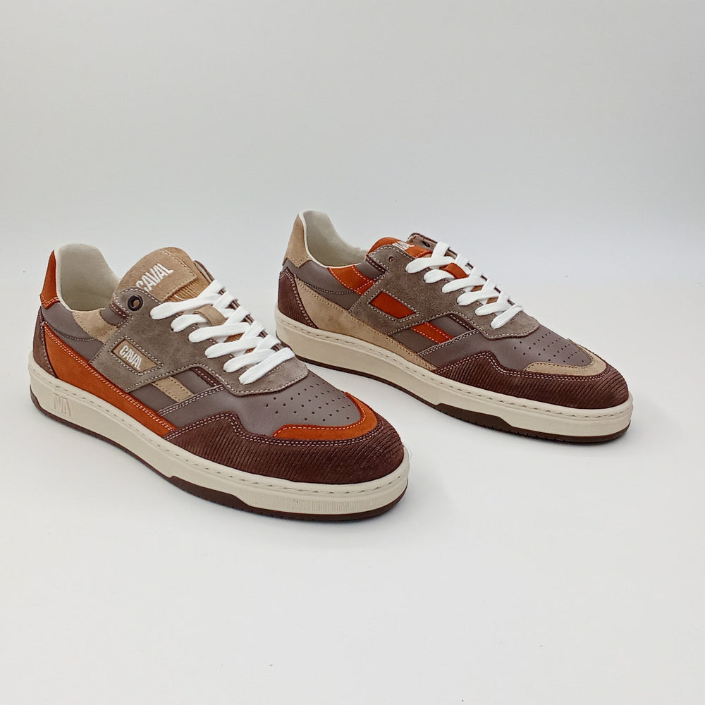 Proto - Hazel Glow - 42