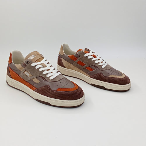 Proto - Hazel Glow - 42