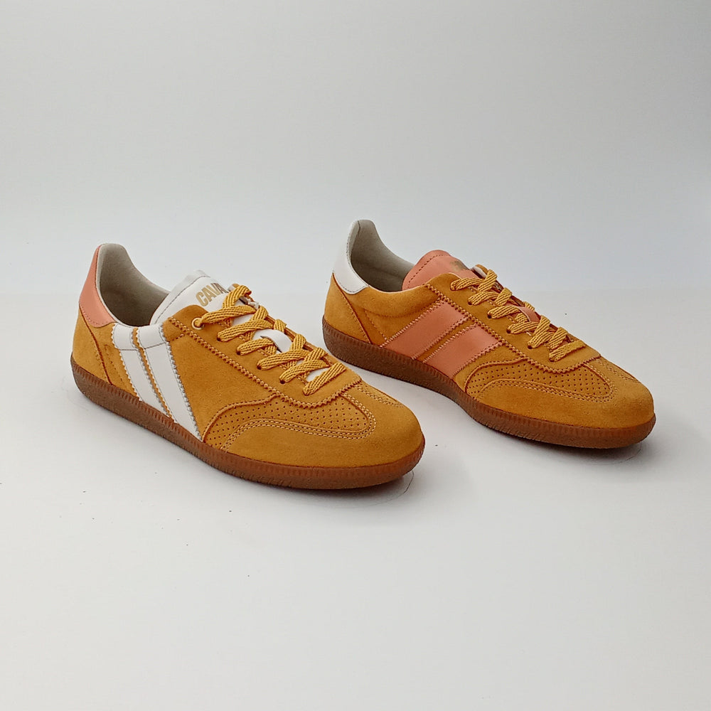 Proto - Spice Delight - 38