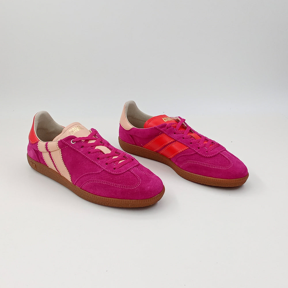 Proto - Cotton Rose - 38